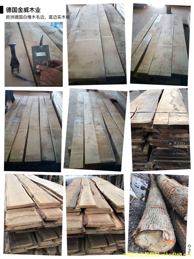 �W�ް���ë߅�� ��ľ���Ԕ��(x��)��B