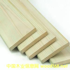 樟子松的詳細(xì)介紹