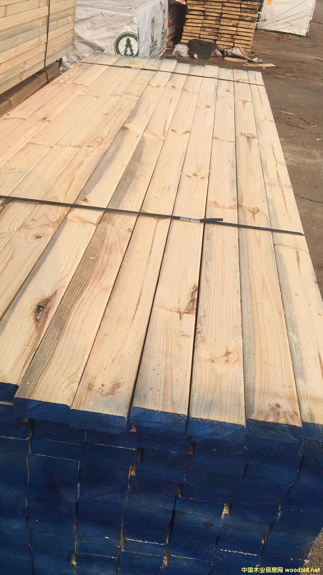 �S��ֱ�N������ľ������ľ��ľ������Ž��������b�ĵ�Ԕ��(x��)��B