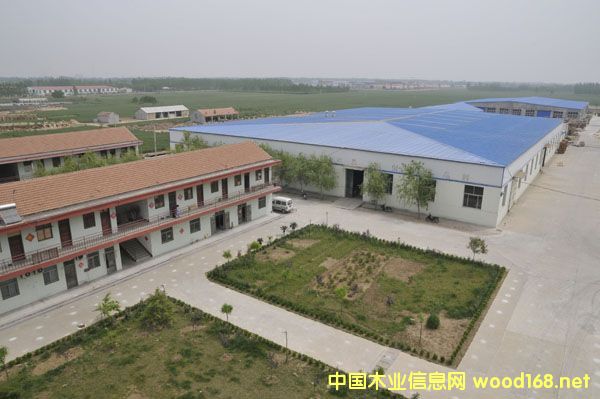 �S����Ԕ����B