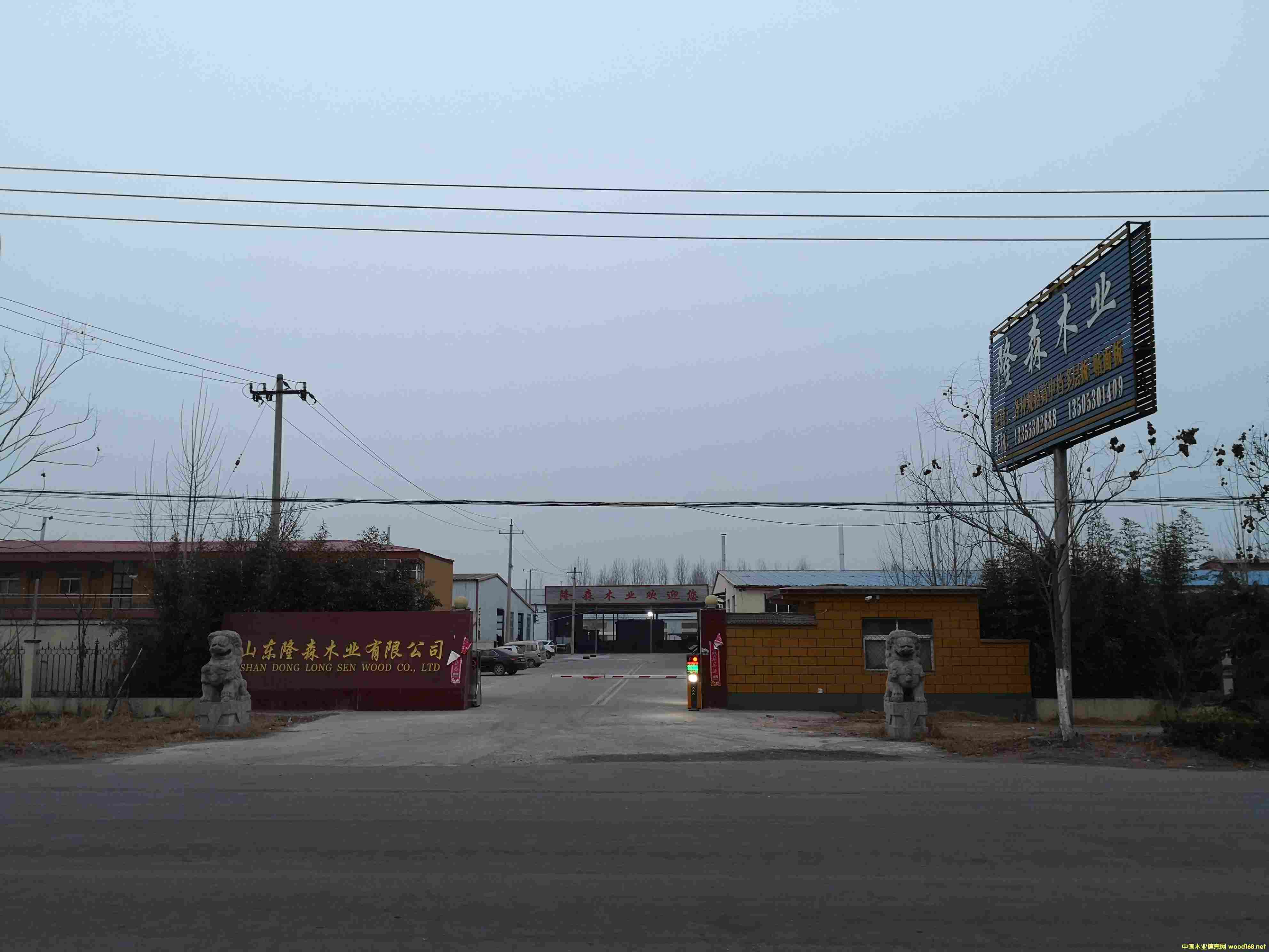 �S����Ԕ����B