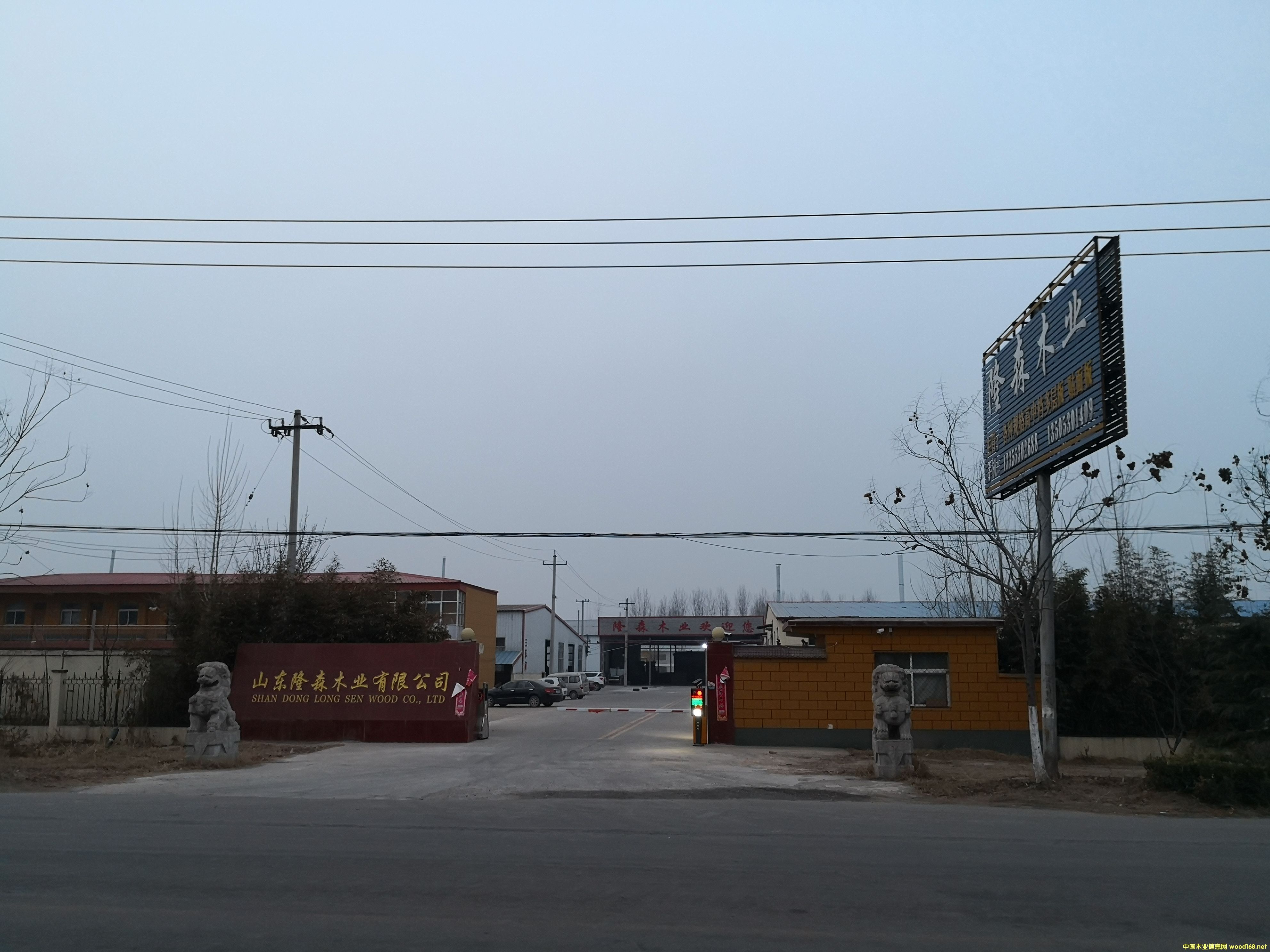 �S����Ԕ����B