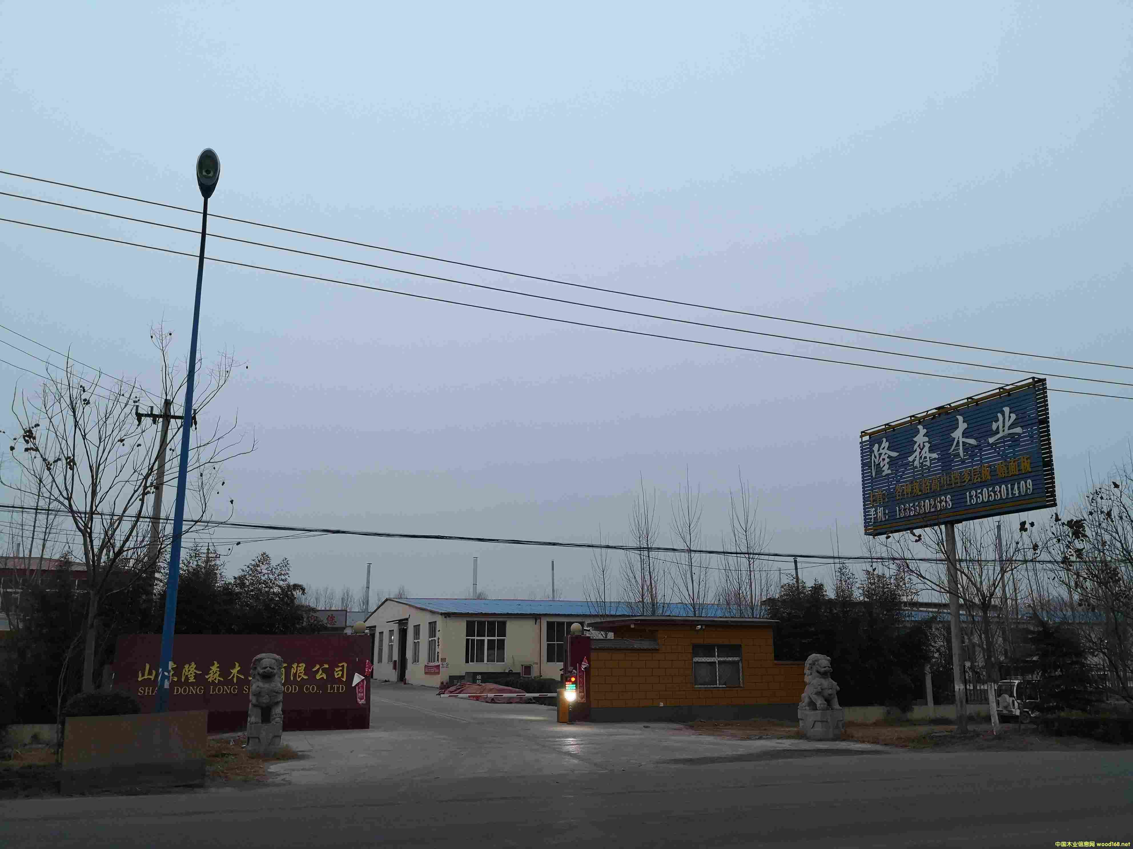 �S����Ԕ����B