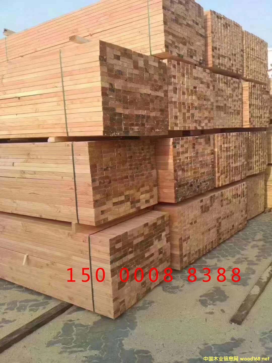 澳松的詳細介紹