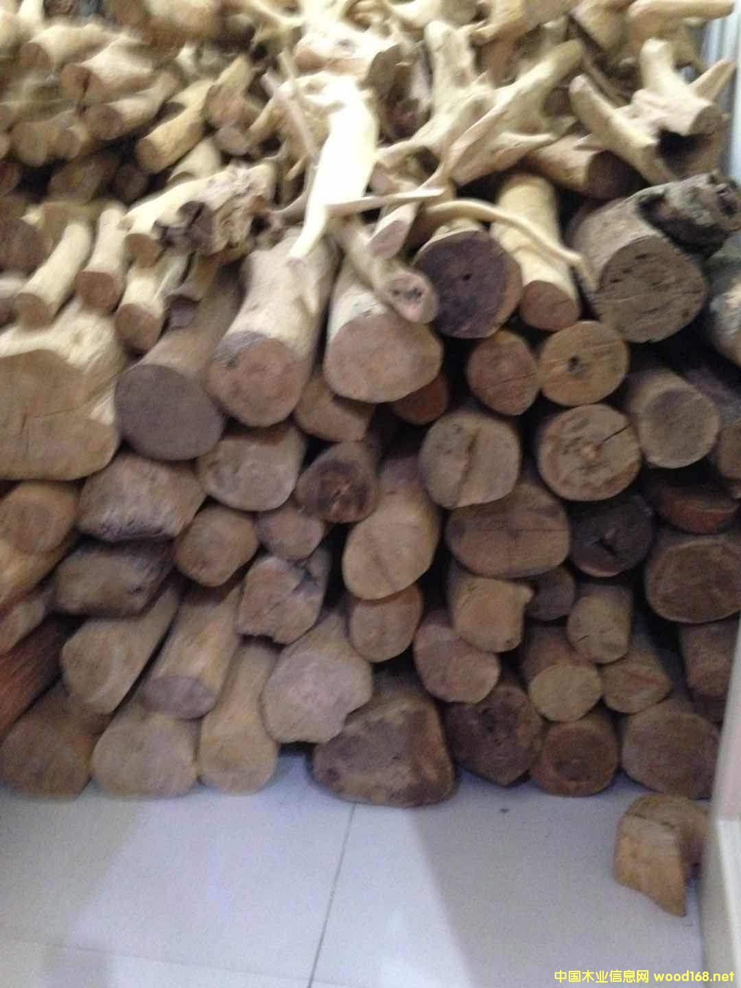 檀香木的詳細(xì)介紹