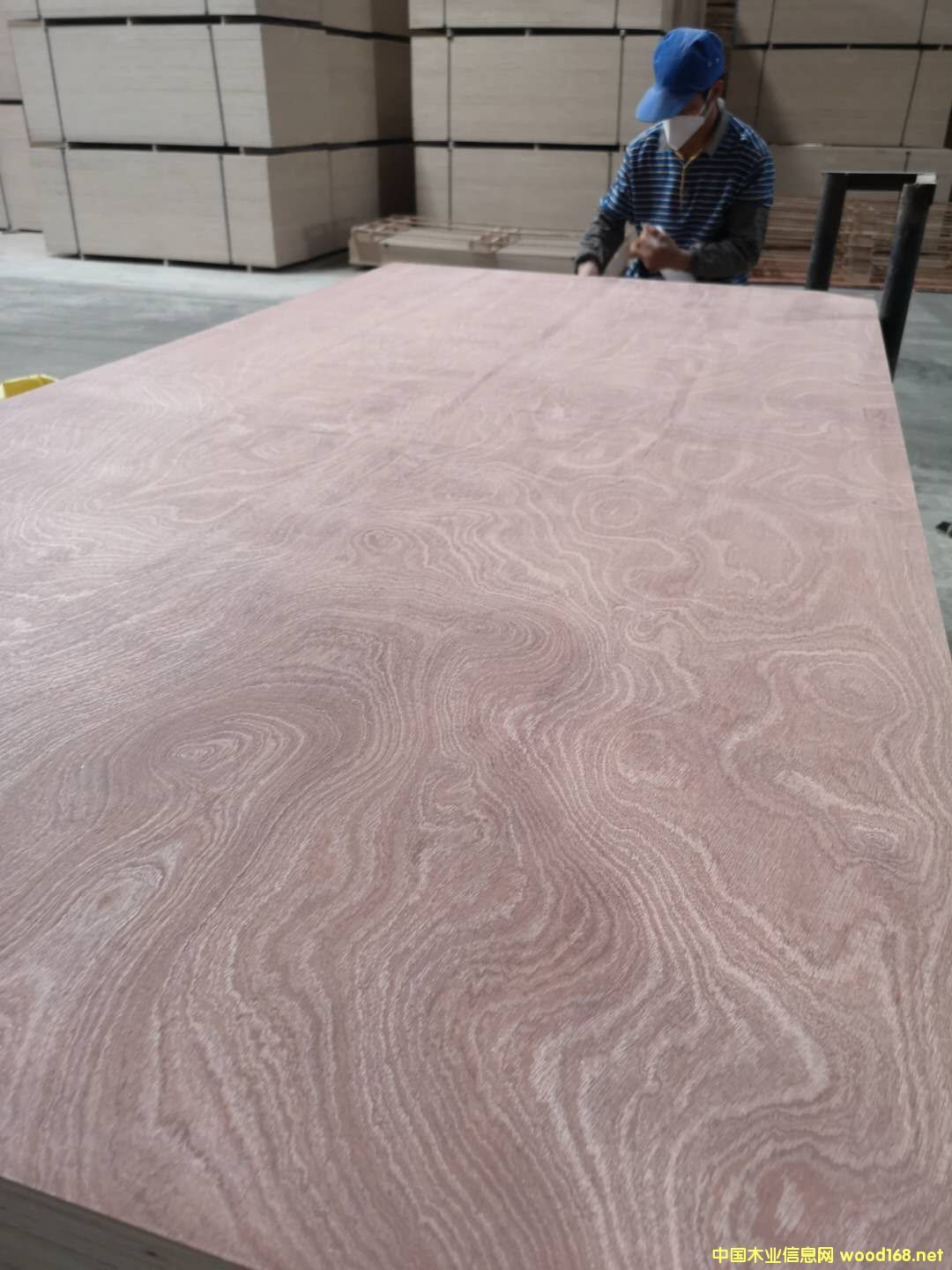 板材的詳細介紹