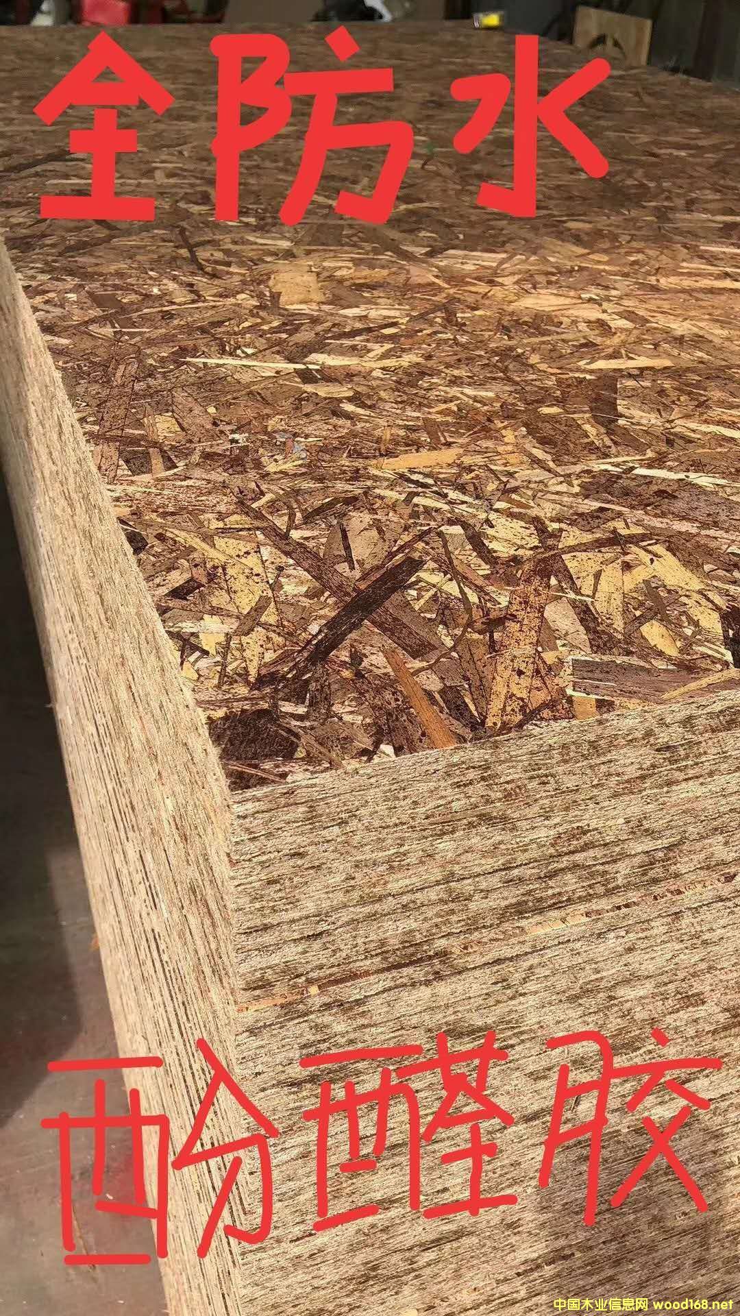 [��] ����(y��ng)OSB�W�ɰ�