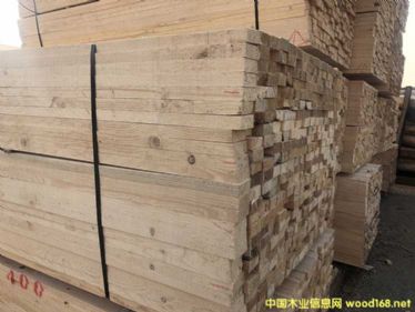 ̫�}(c��ng)����ľ���S��  �Fɼ����ľ���r(ji��)��