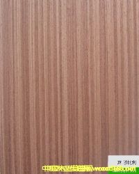 �Ƽ�ľƤ��Ԕ��(x��)��B