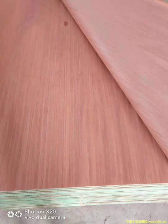  ��Ԕ����B