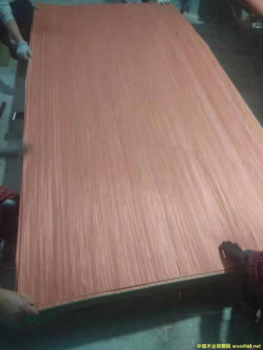  ��Ԕ����B