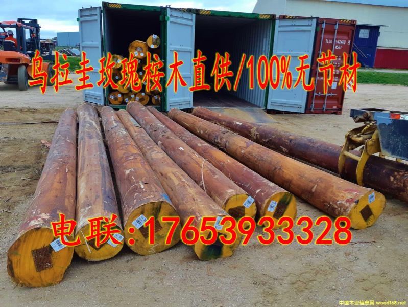 �M(j��n)��õ����ľԭľ/100%�o(w��)��(ji��)�ĵ�Ԕ��(x��)��B