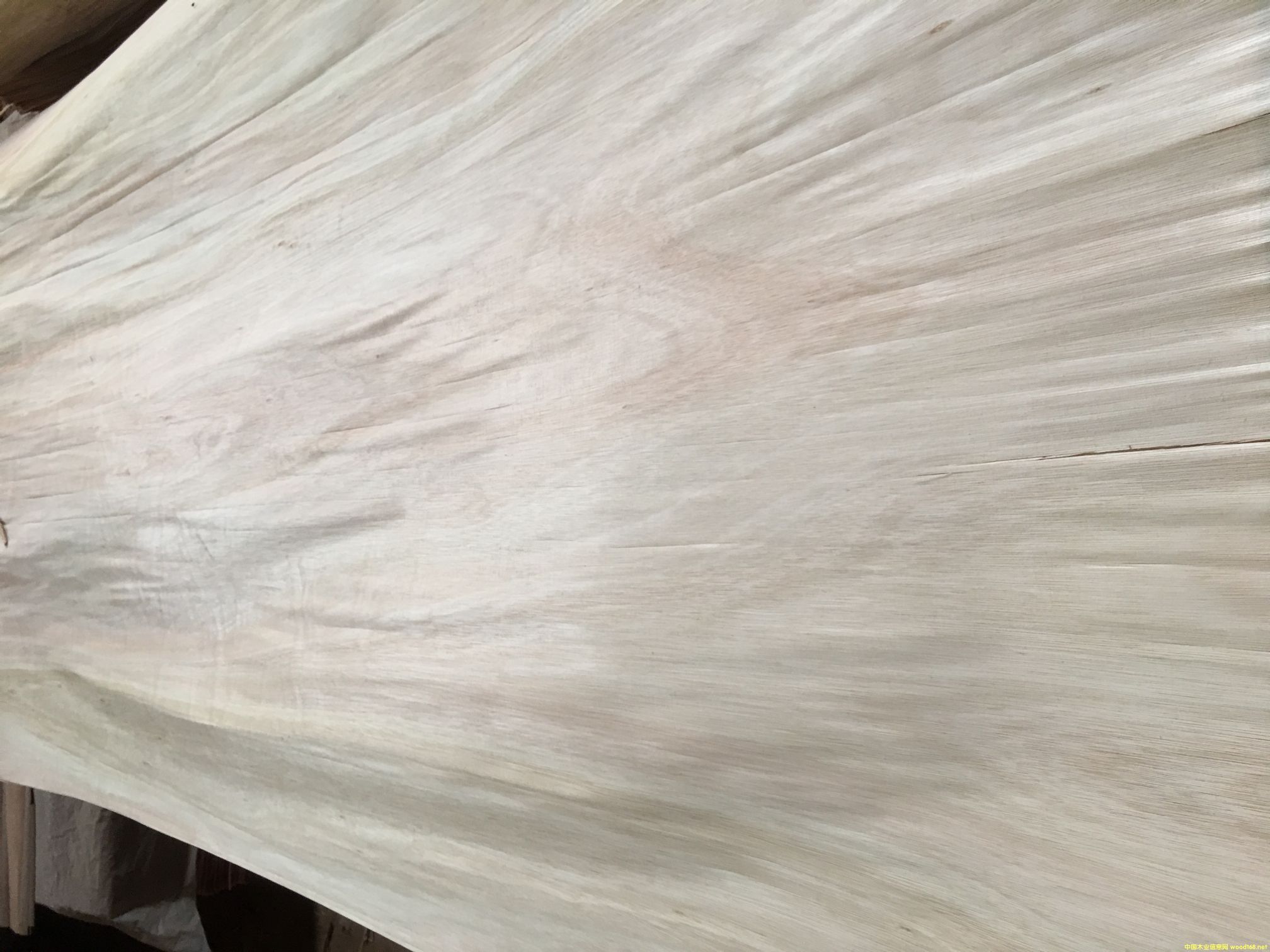 ��������ľ���a(ch��n)��Ƥ�������ʸ�