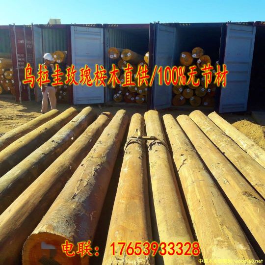 ���N��������ľԭľ