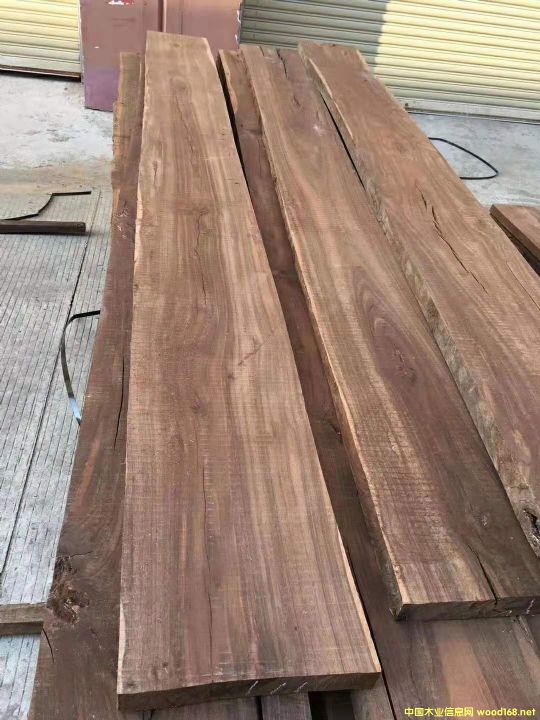 ����կ����֦