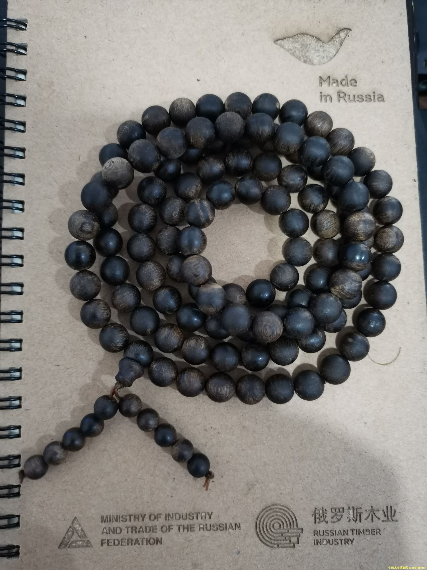 ���������Ԕ��(x��)��B