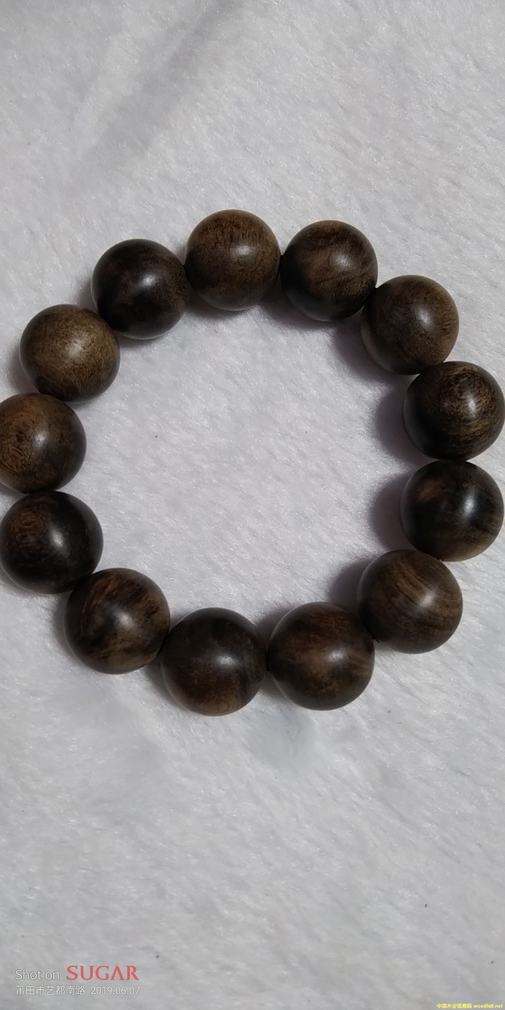 ���������Ԕ��(x��)��B