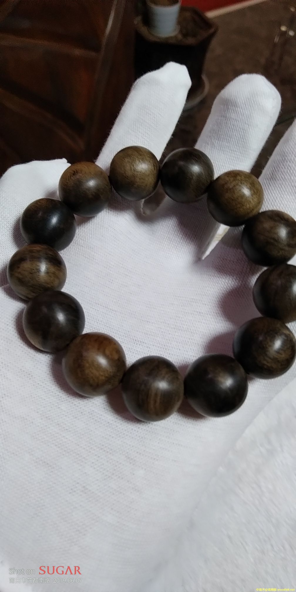 ���������Ԕ��(x��)��B