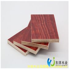 �ߌӽ���ģ��