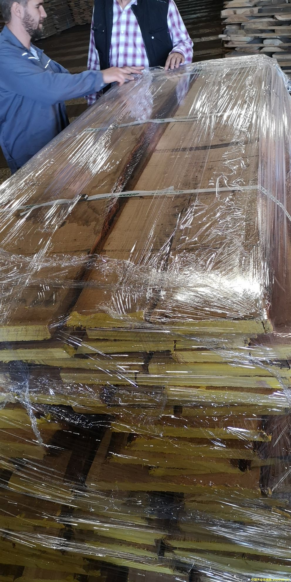 ��ľ���FSC