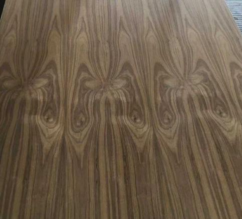 ����(gu��)�ں���