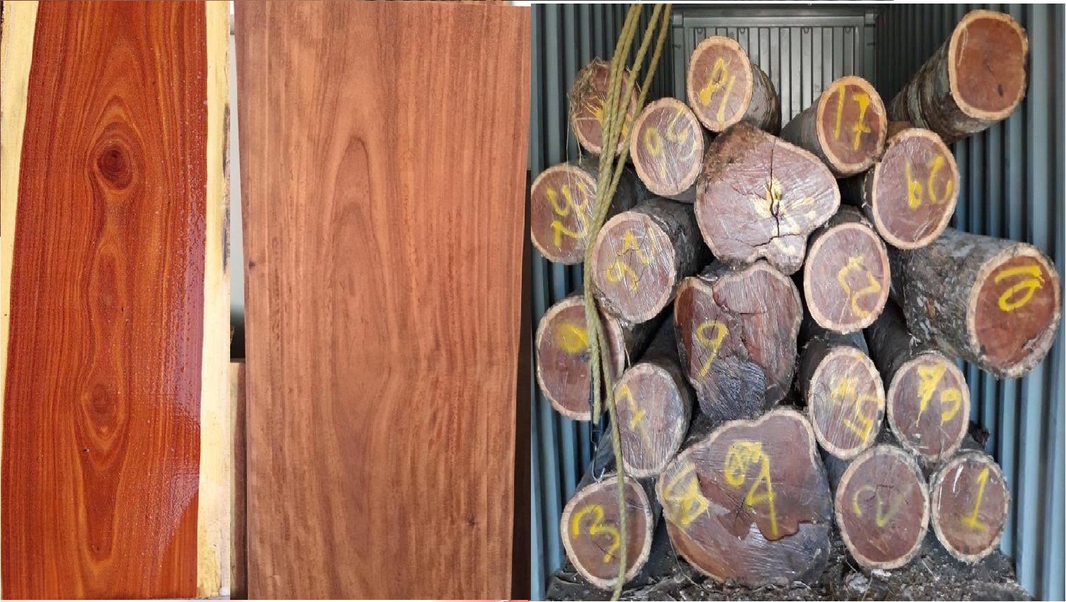 �t̴��(balsamo)