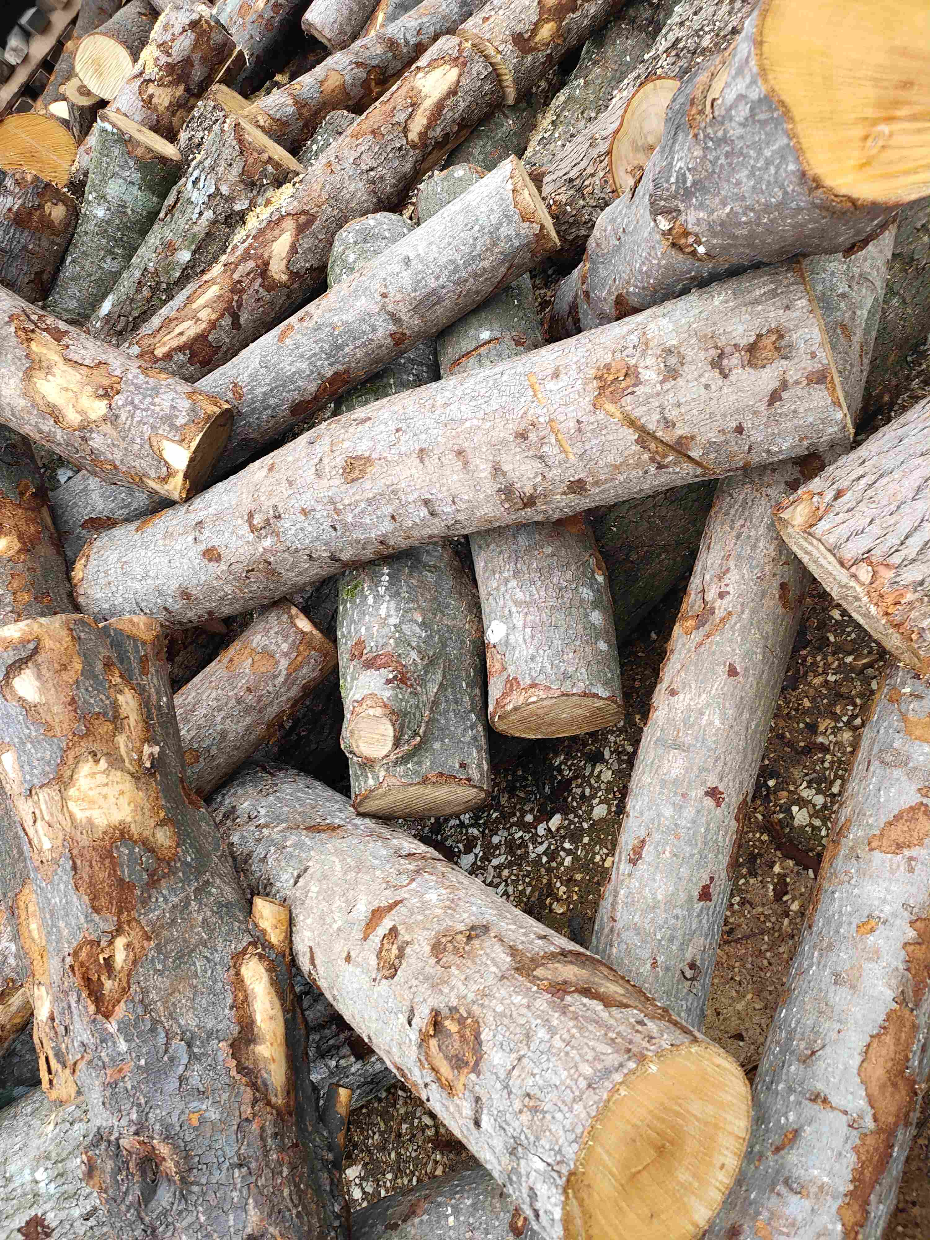 ɼľҎ(gu��)����