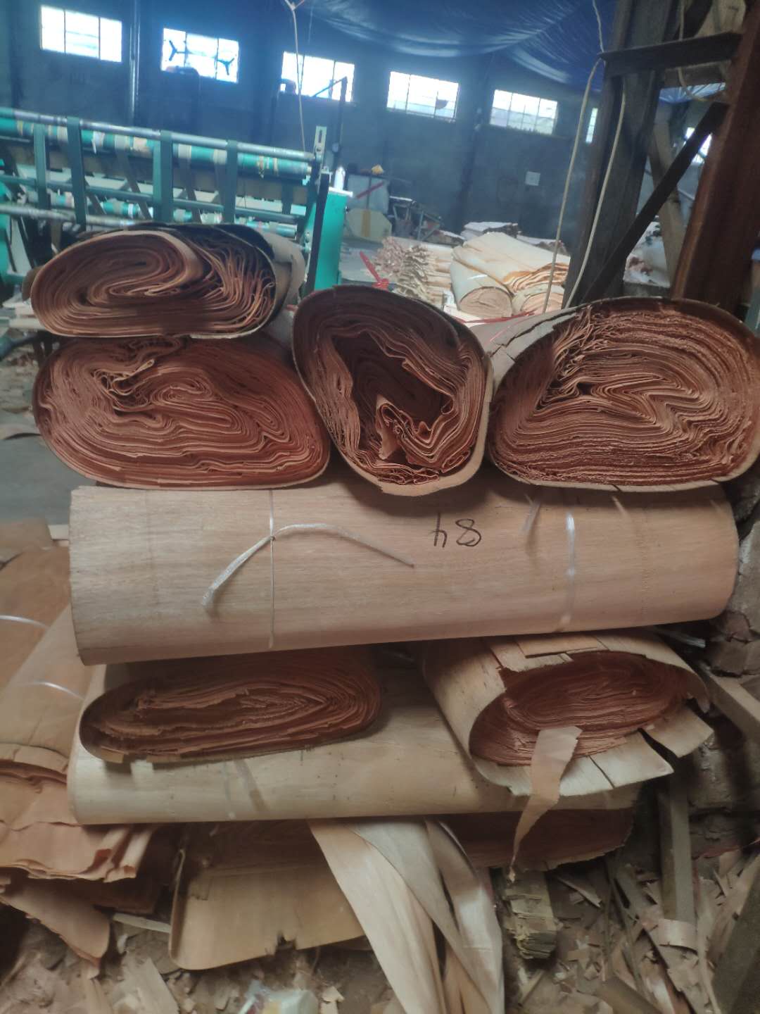 �W�����һ�о�ΰ���Ƥ