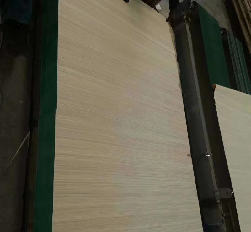 ���L(zh��ng)���ή��͙M�y���w�S�Ƽ�ľƤ48�߸��NҎ(gu��)��