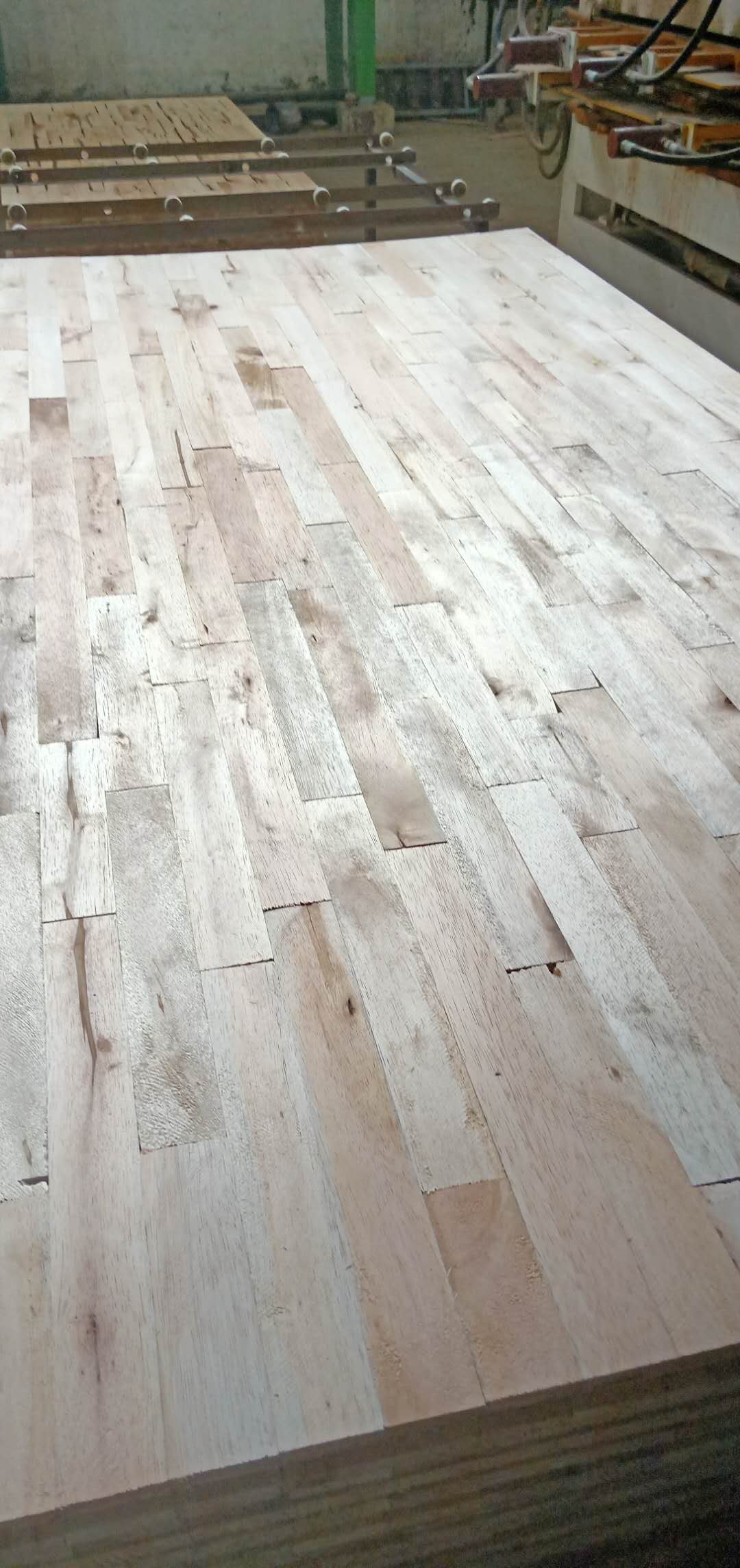 �R���׼�(x��)ľ����