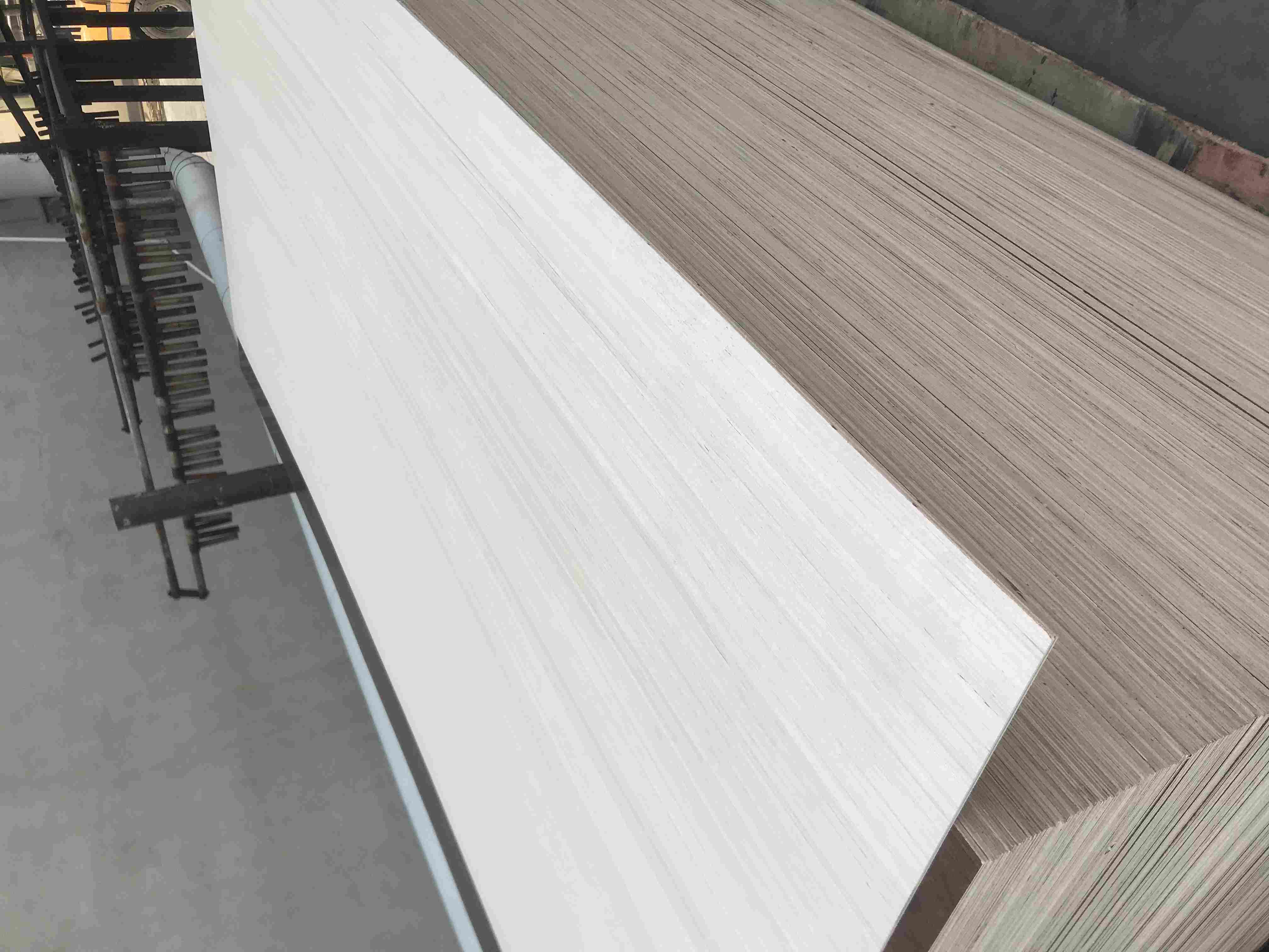 ���ĵ�Ԕ����B