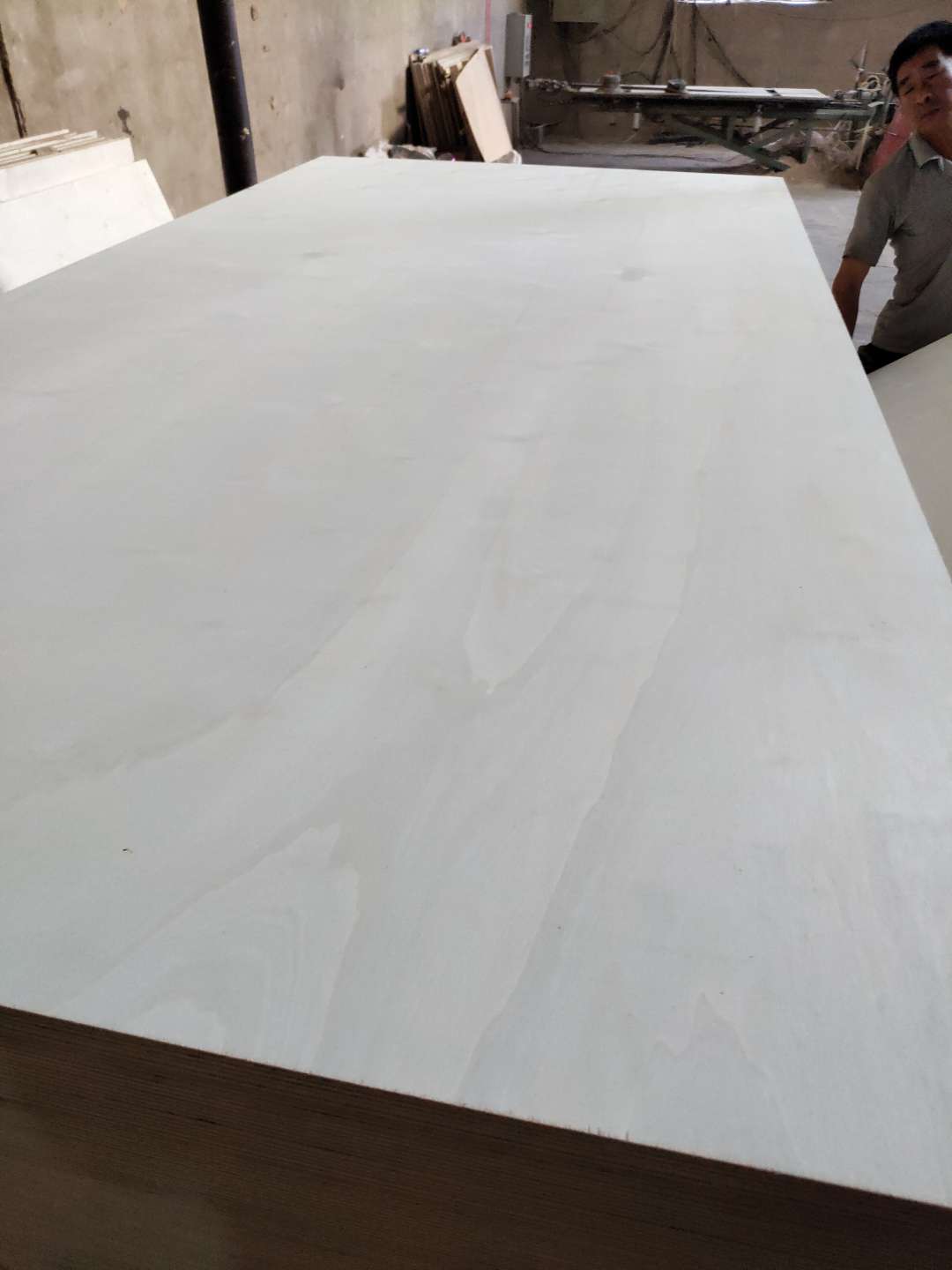 ���ĵ�Ԕ����B