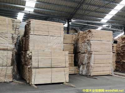 ��ľָ�Ӱ��Ԕ��(x��)��B