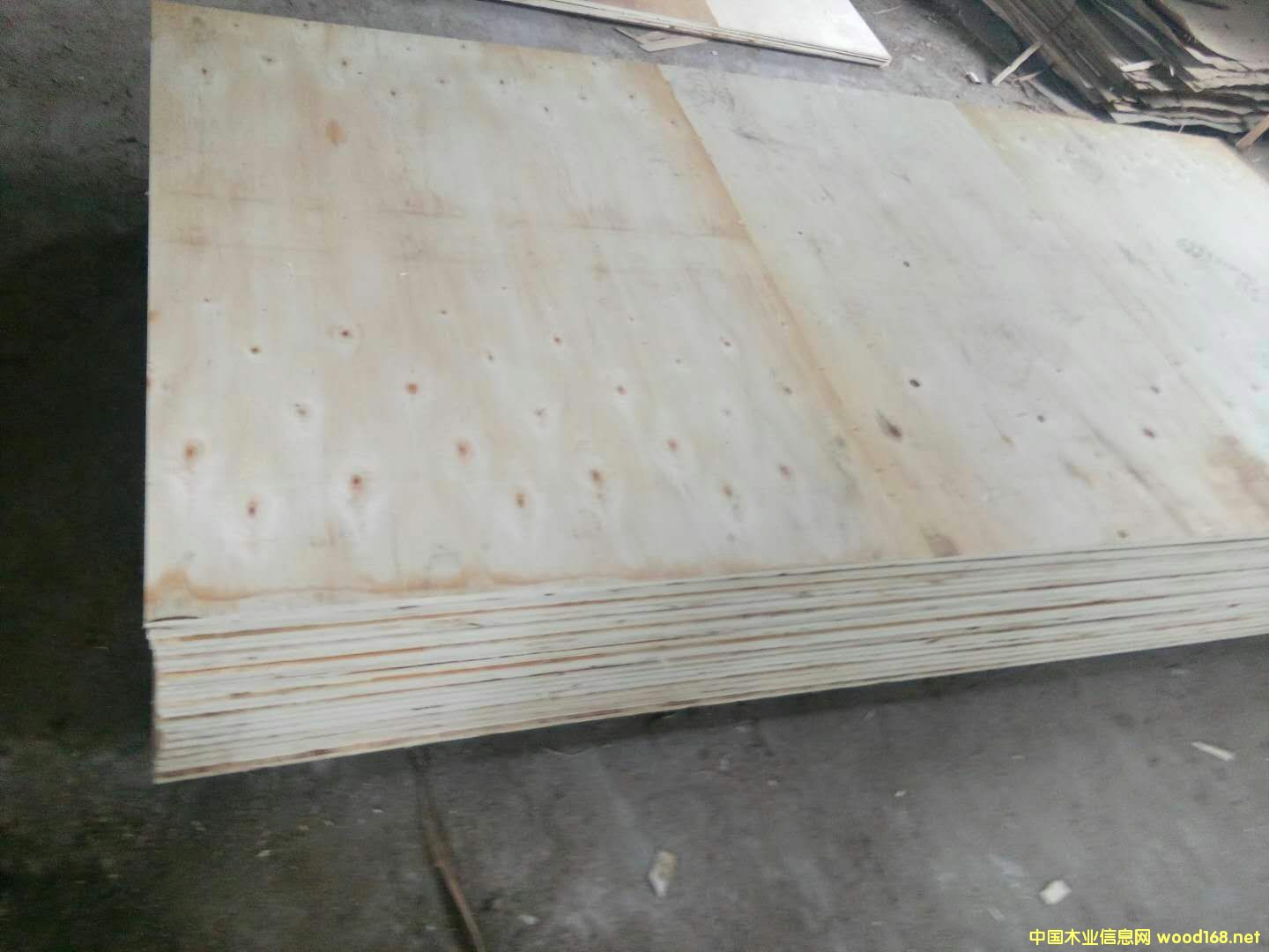 ��о��(sh��)ľо��