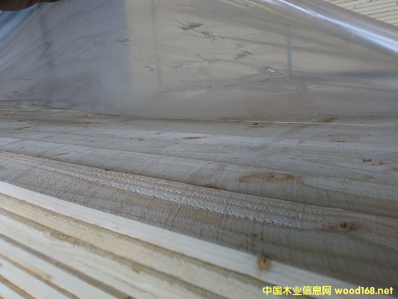 ARAUCO�Ҿ߼���Ԕ����B