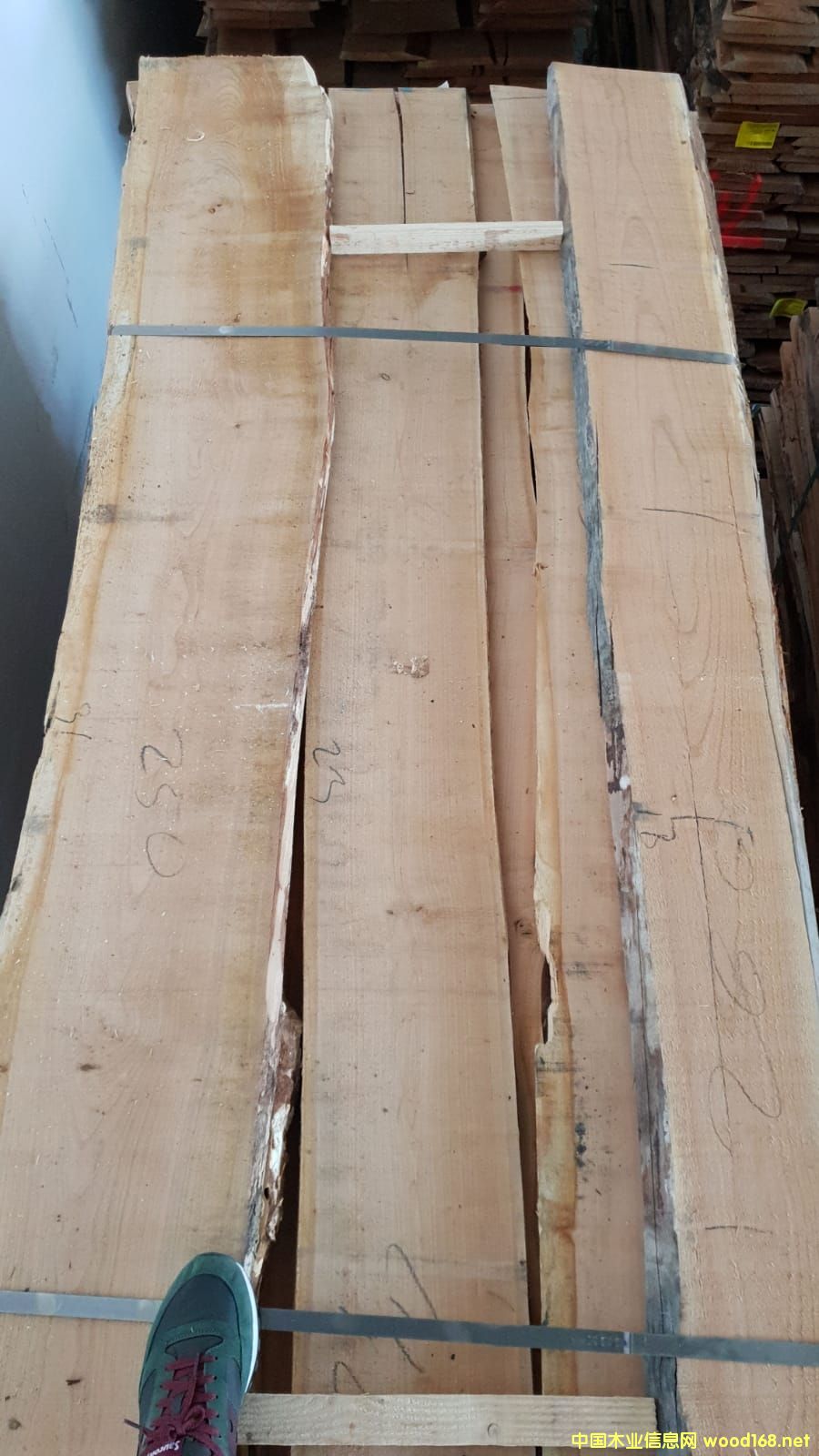 �W�ޙ���ë߅��ĵ�Ԕ����B