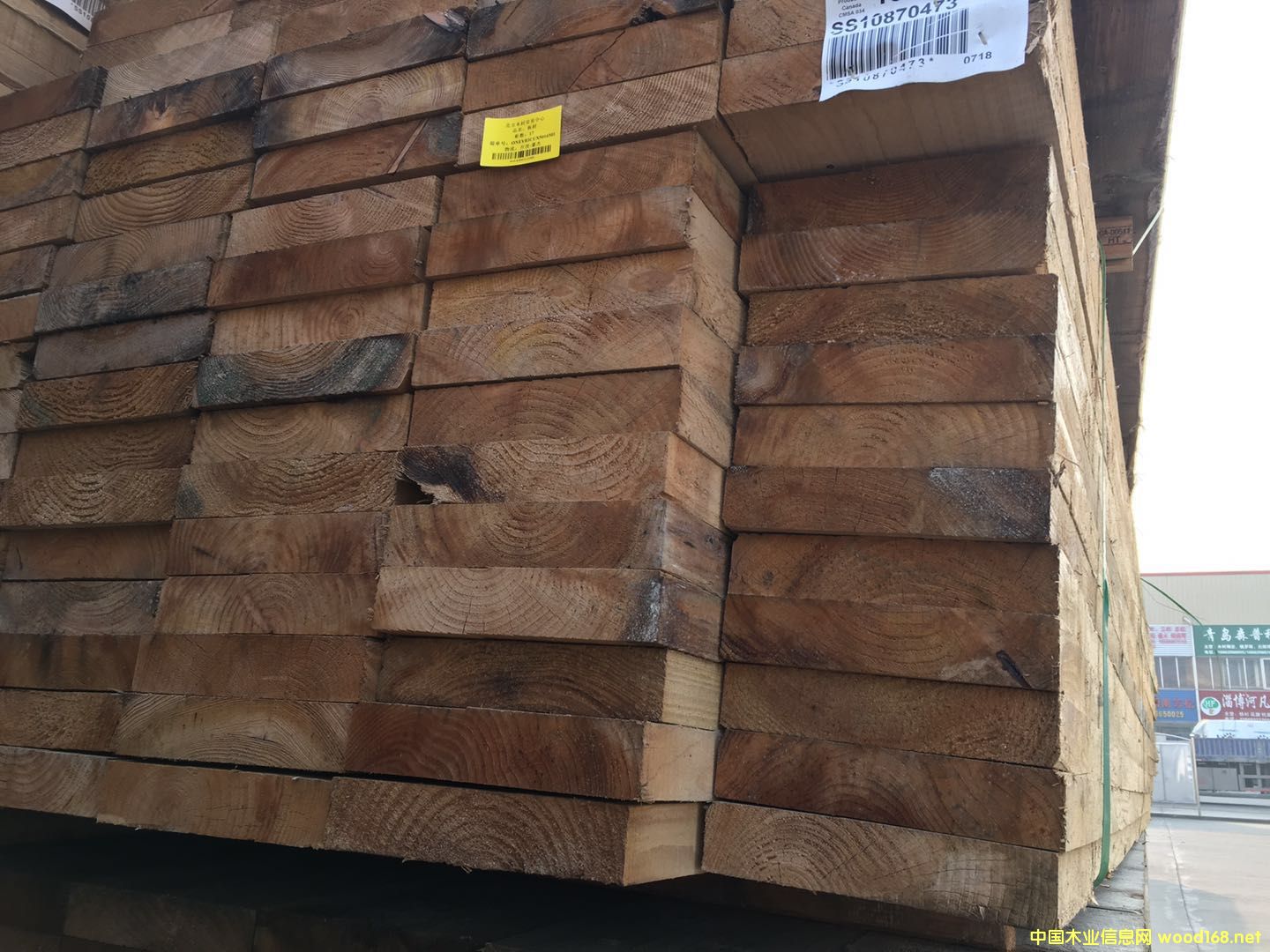 �Fɼ���50*254��Ԕ��(x��)��B