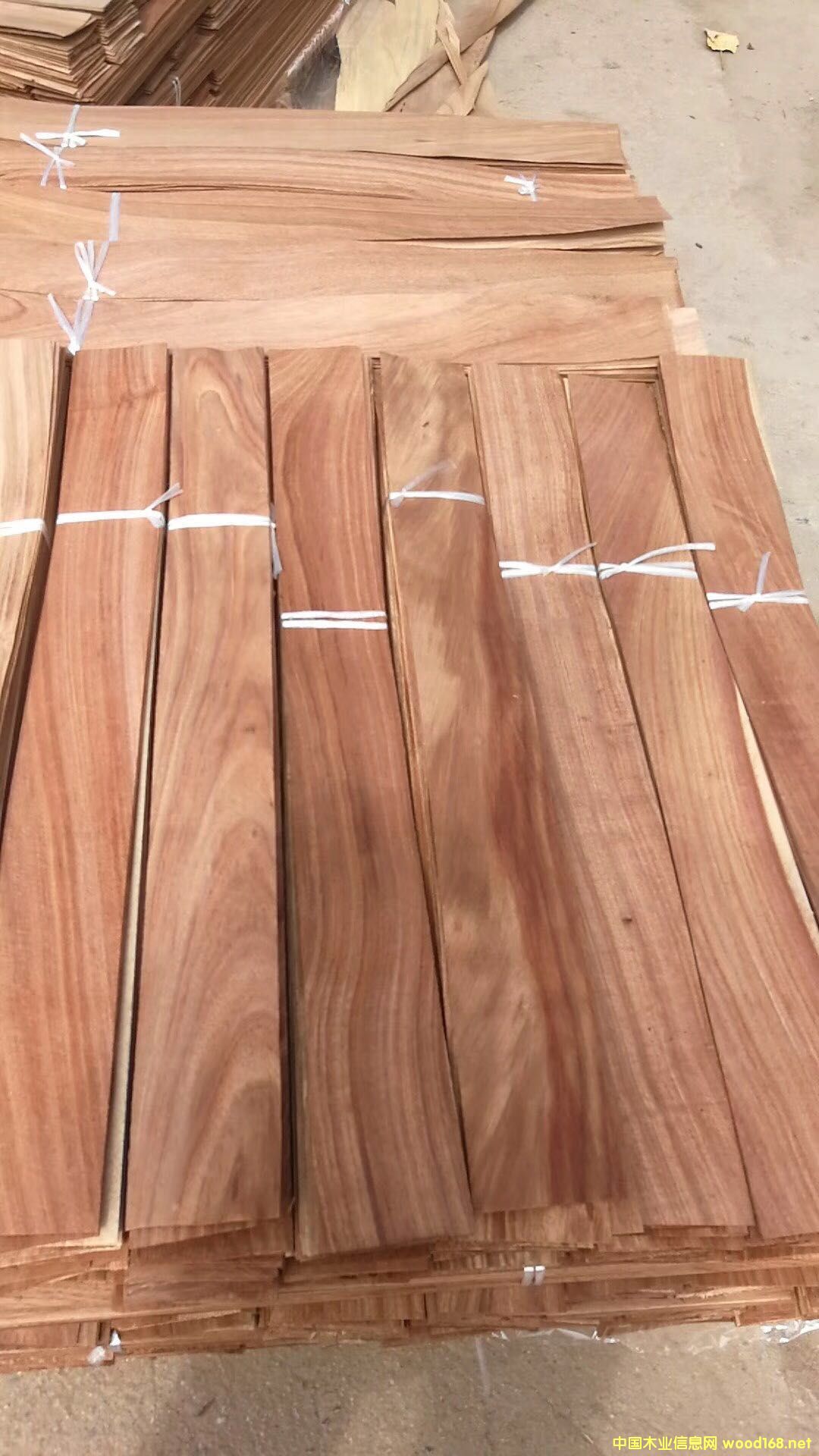 ����ľƤ�ϴ��~�����Ԕ��(x��)��B