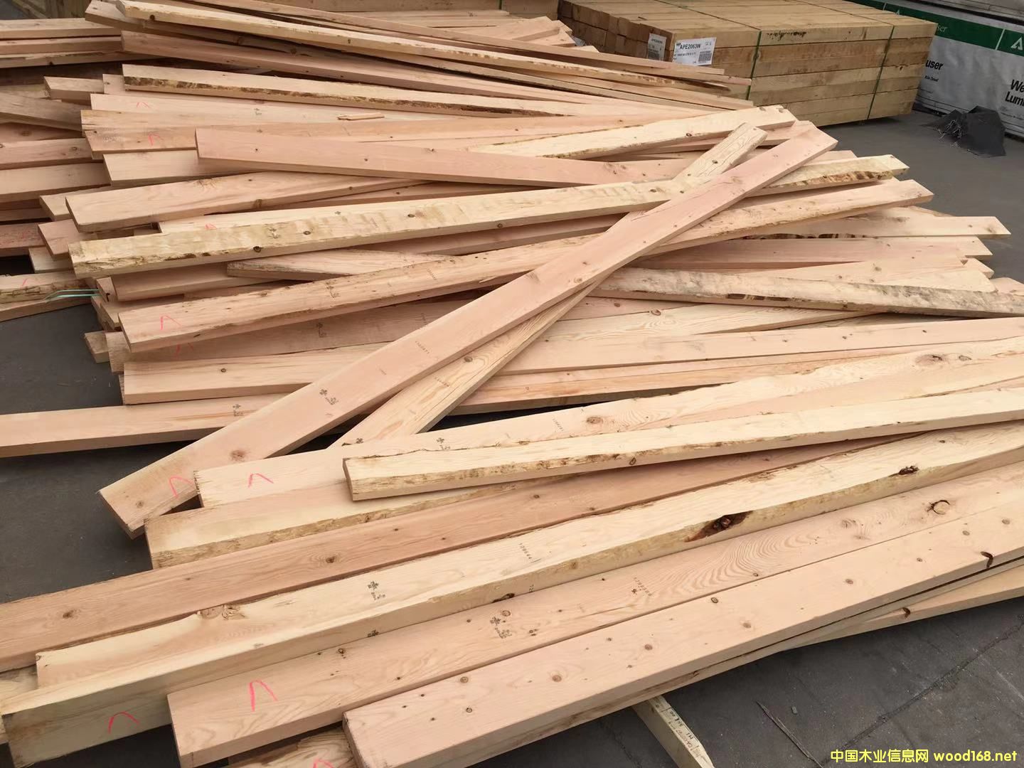 �Fɼ�������2*6��Ԕ��(x��)��B