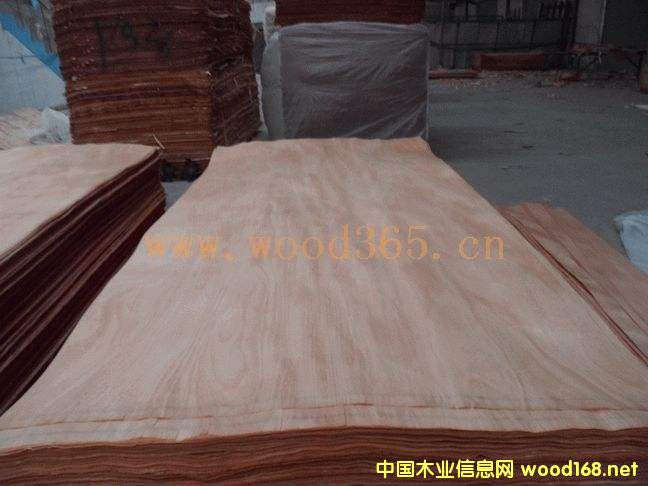 �t�ϙ��Ԕ��(x��)��B