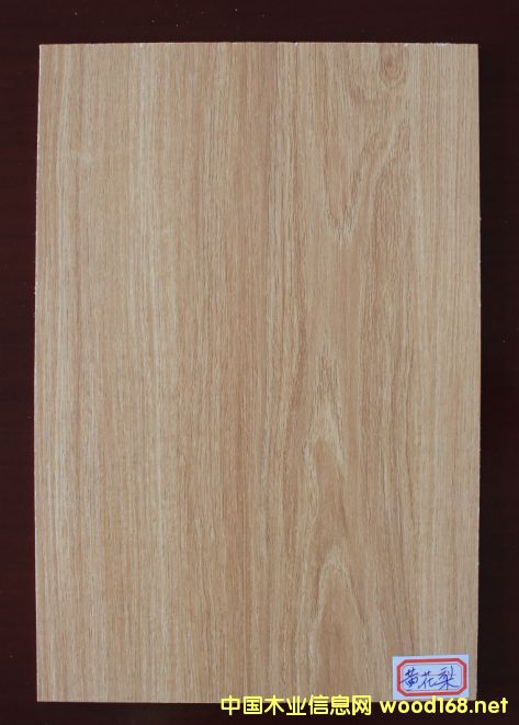 ���B(t��i)��-�S�����Ԕ����B