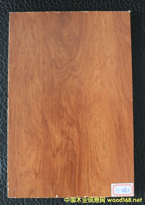 ���B(t��i)��-�t��ľ��Ԕ����B