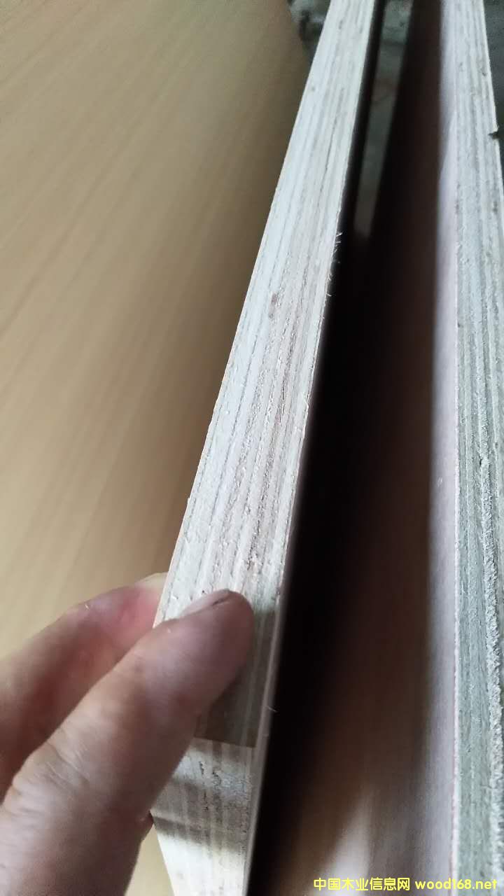 膠合板 的詳細介紹