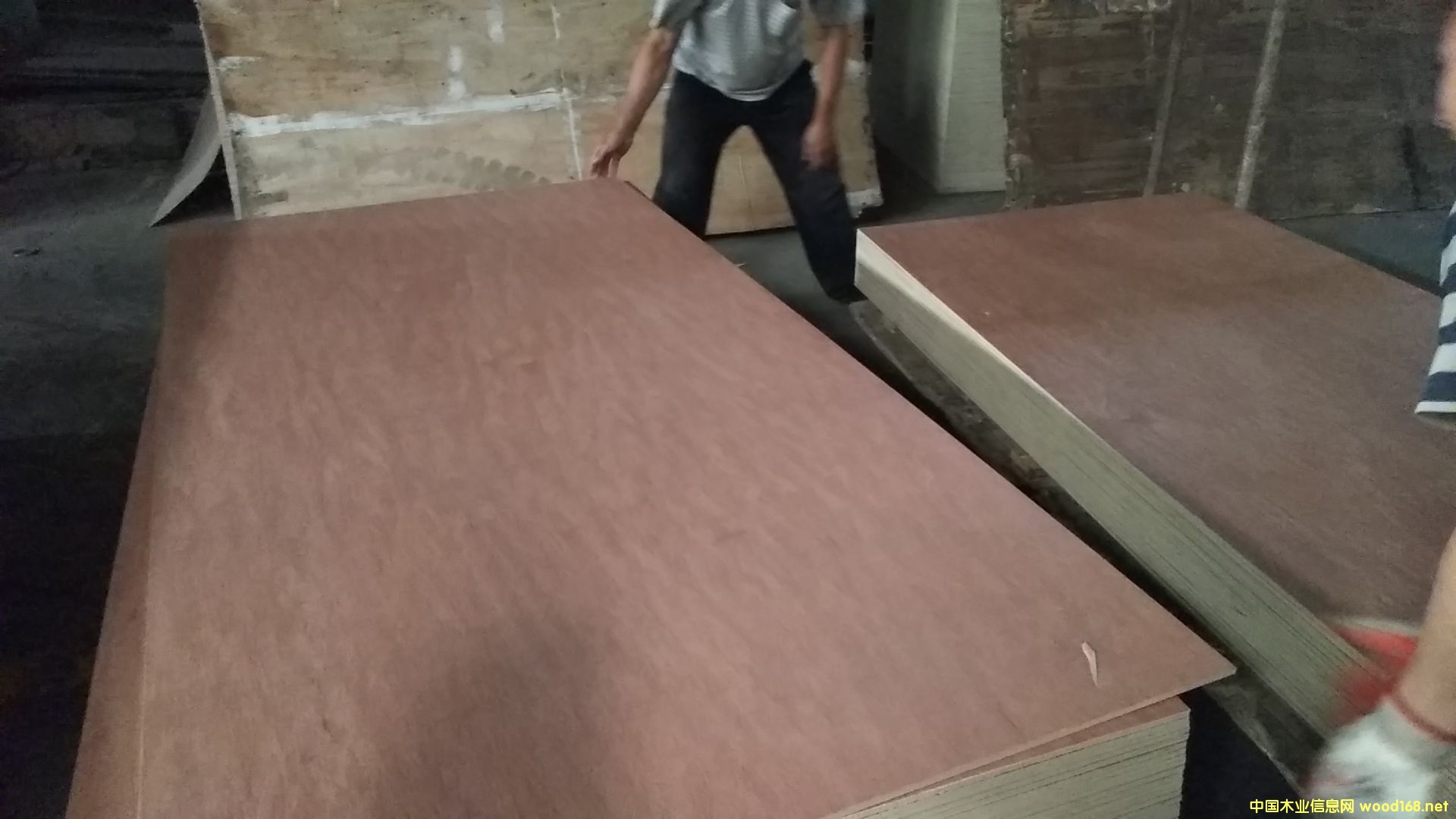 楊雜板的詳細介紹