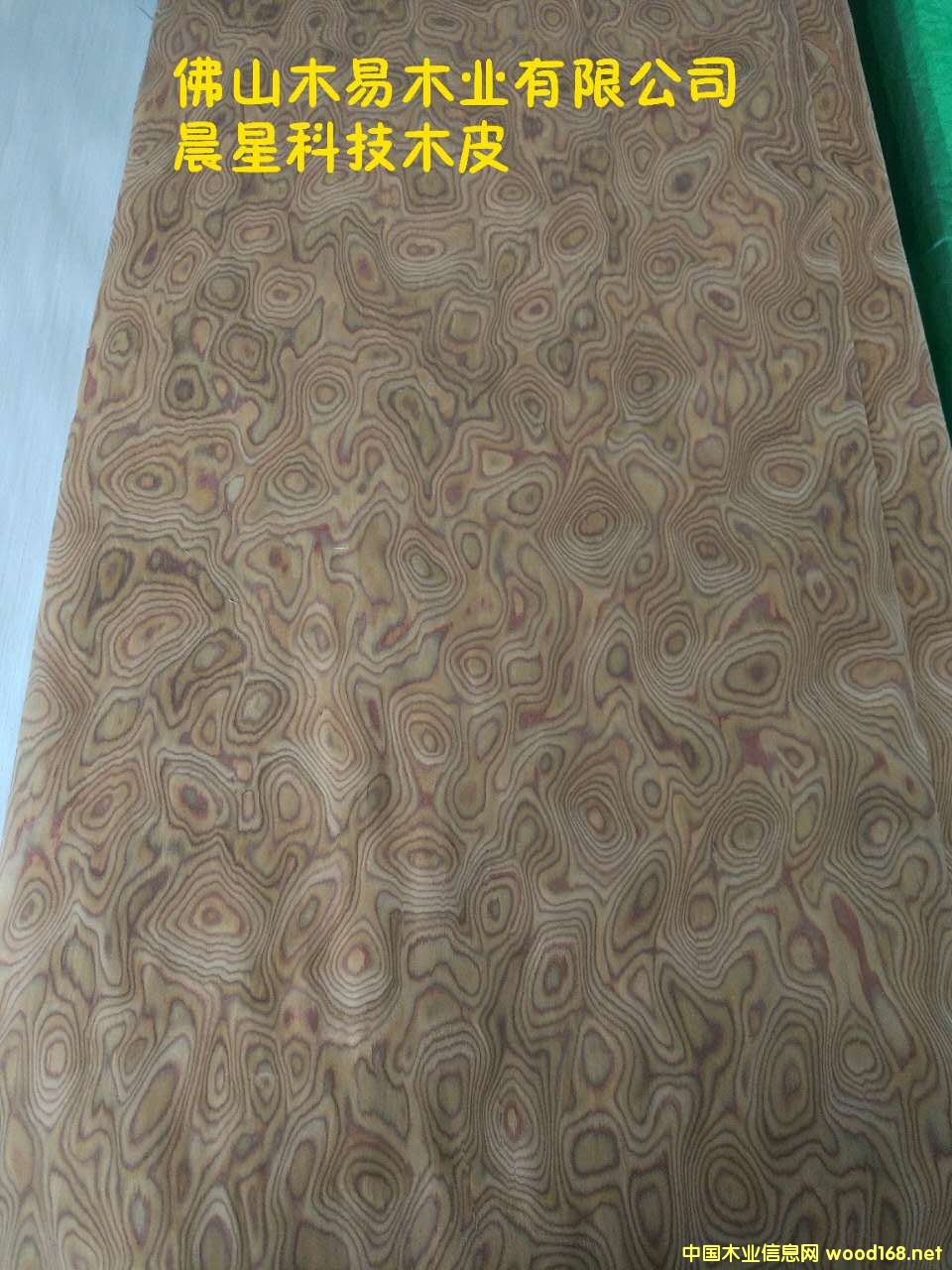 ���Ҙ����Ԕ����B