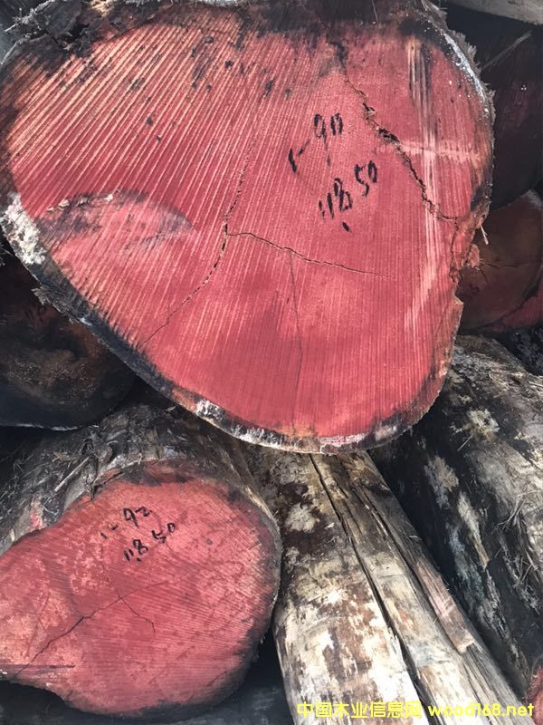 ��ľ��Ԕ����B