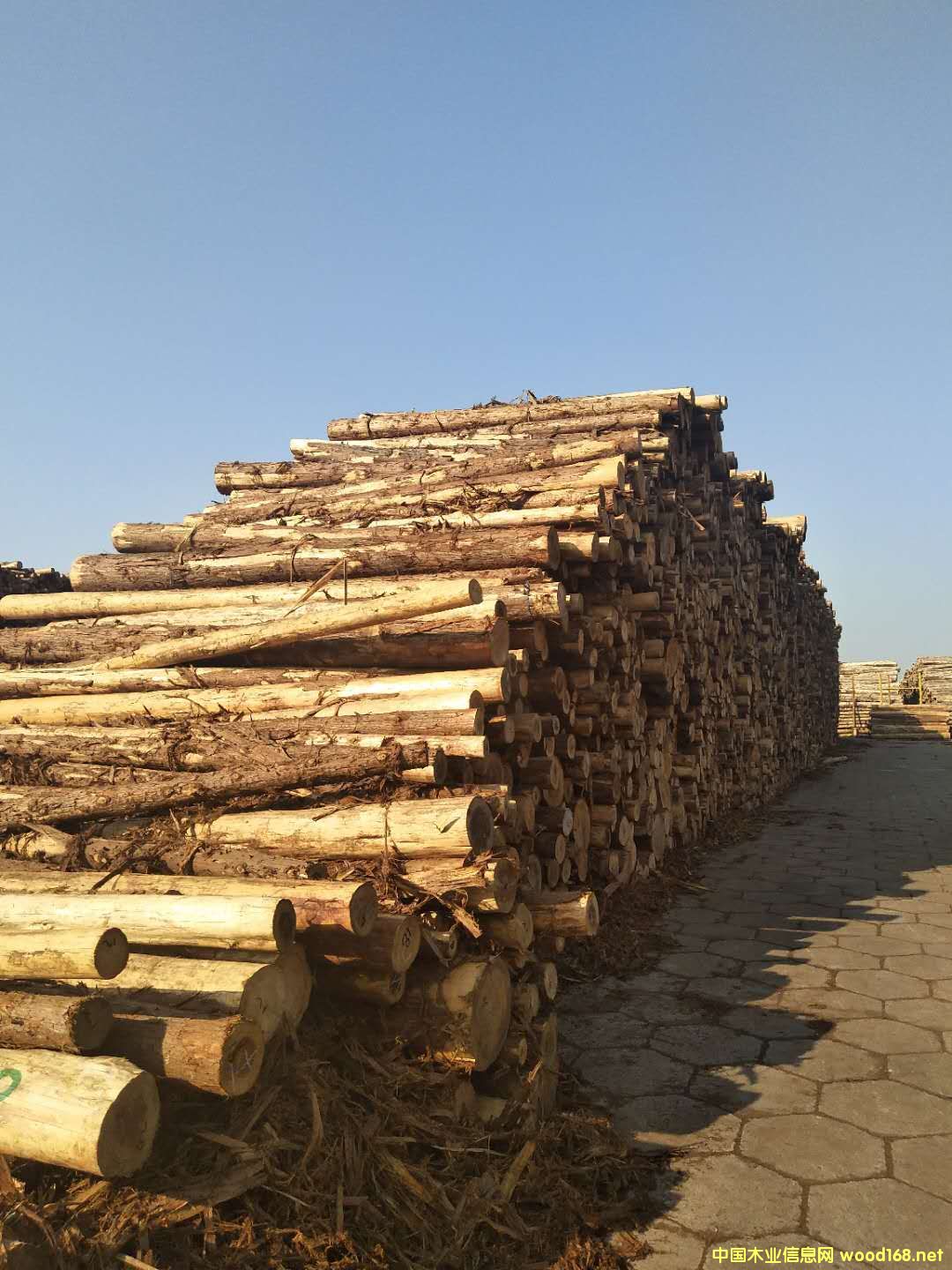 [��] �ձ���ɼ