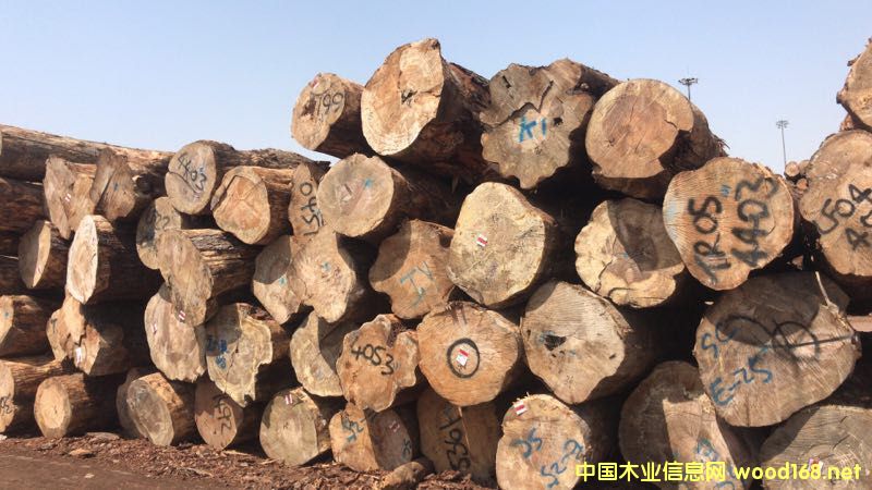 ݗ���ɵ�Ԕ����B