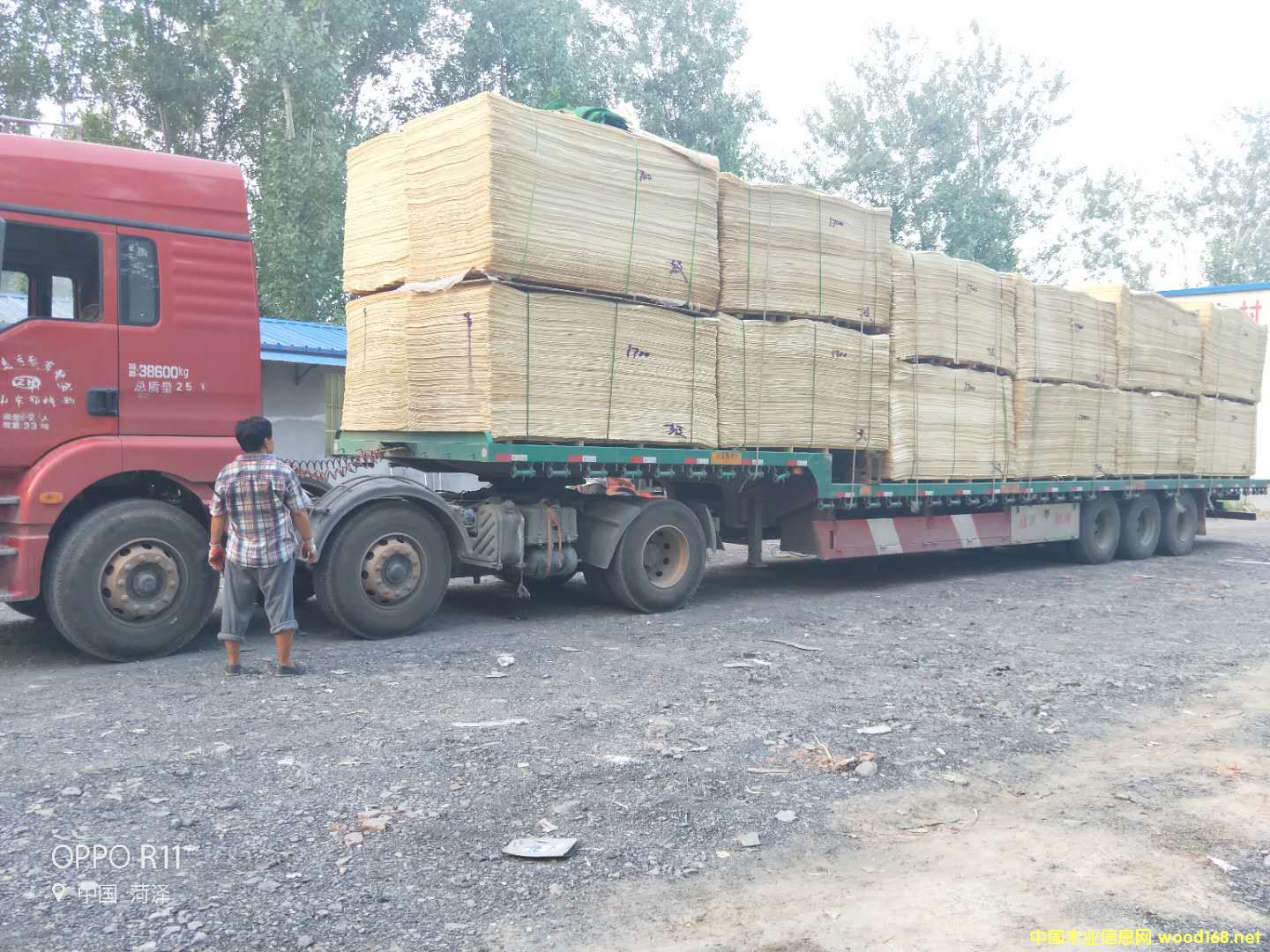   ��Ԕ����B