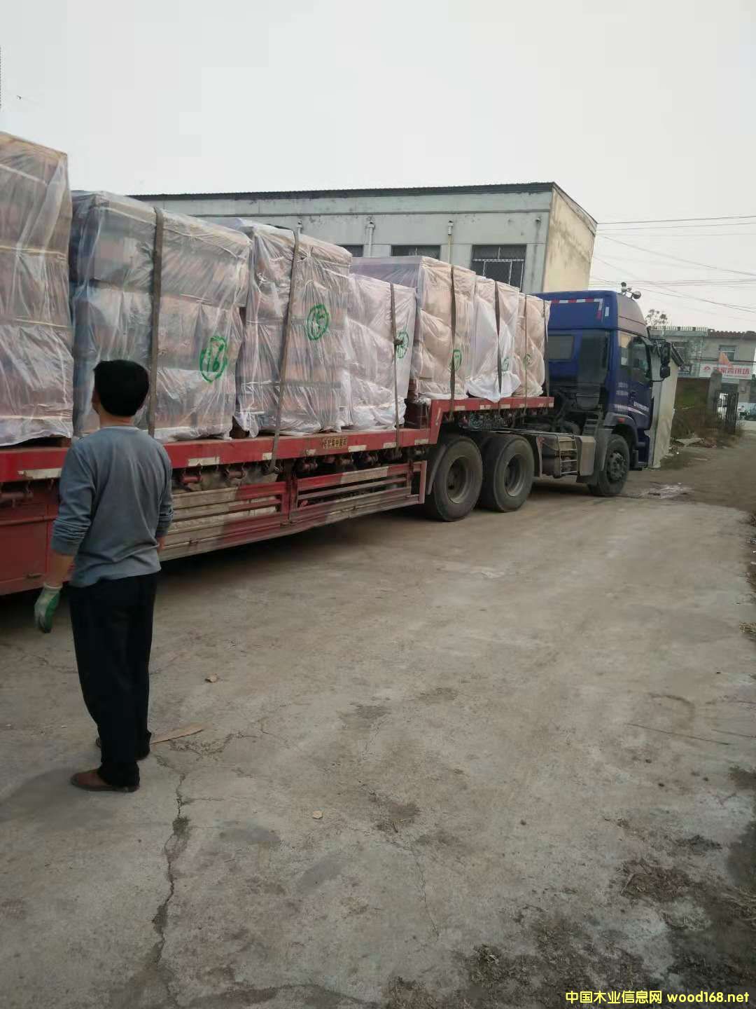 ɳ����������